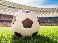 浙江广厦客,场击败广东,赢得冠军,彩娱乐,彩票平台,在线购彩,彩票投注,彩票服务